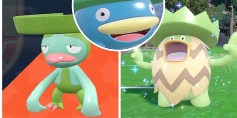 is lotad good.